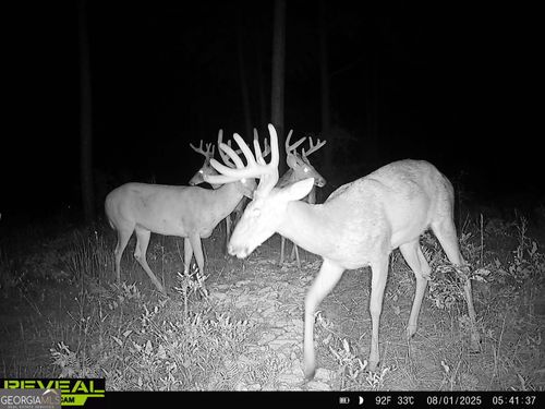 0 N County Line Rd, Sylvester, GA, 31791 | Card Image