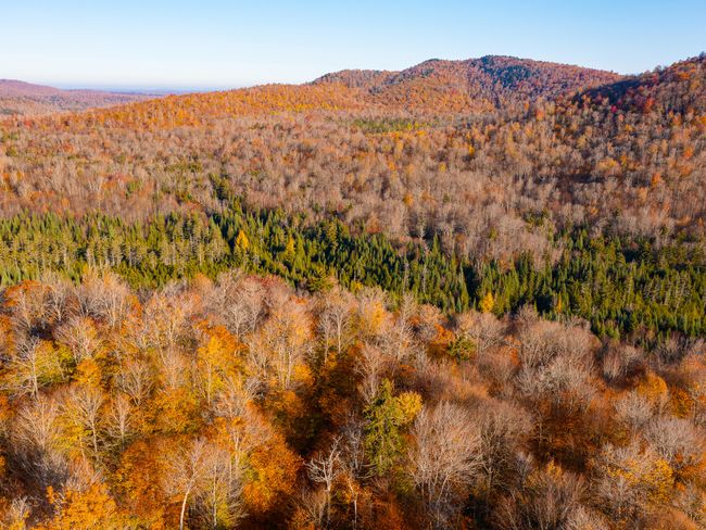134 Haystack Mountain Road, House other with 4 bedrooms, 1 bathrooms and null parking in Piercefield NY | Image 65