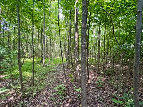 Tbd Walter Humphries Rd, Rougemont, NC, 27572 | Card Image