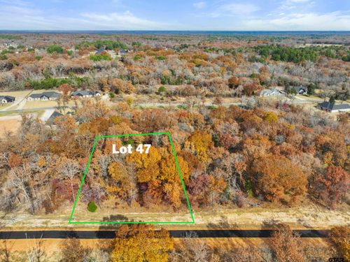 TBD Pr 6306 Lot 47, Mineola, TX, 75773 | Card Image