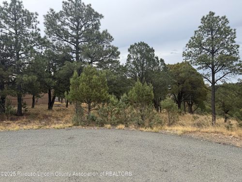 4-30 Cougar Ln, Alto, NM, 88312 | Card Image