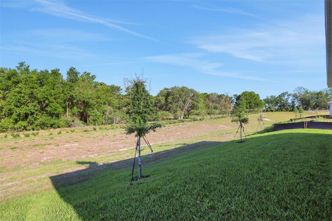 2932 Supermarine Loop, House other with 4 bedrooms, 2 bathrooms and null parking in TAVARES FL | Image 5