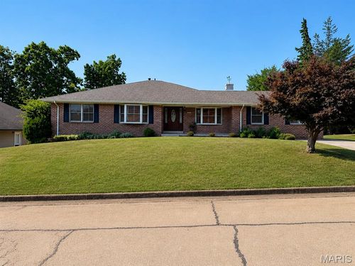 1603 Ronny Dr, De Soto, MO, 63020-1064 | Card Image