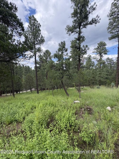 Lot 2 Incredible Ln, Alto, NM, 88312 | Card Image