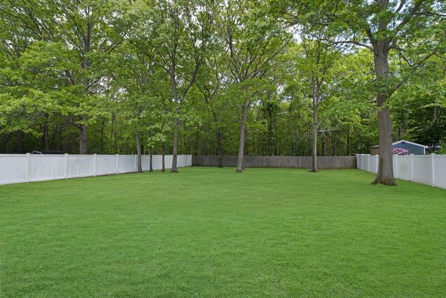View of yard | Image 38