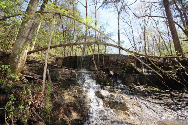 361 Rim Shoals Ln, House other with 2 bedrooms, 1 bathrooms and null parking in Mountain Home AR | Image 12