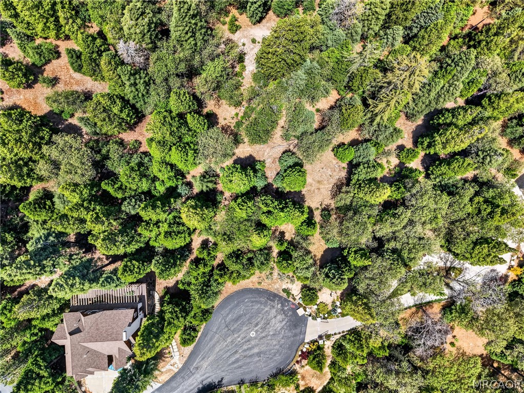 Land in Lake Arrowhead 4