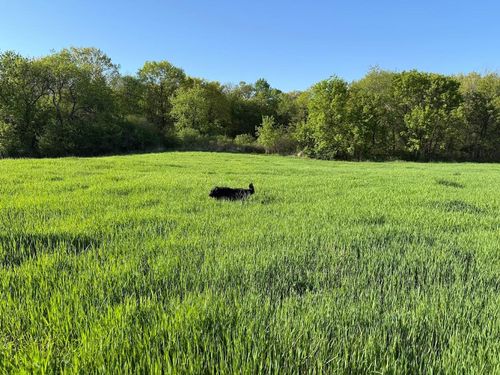 XXXXX Oxboro Ave N, Scandia, MN, 55047 | Card Image