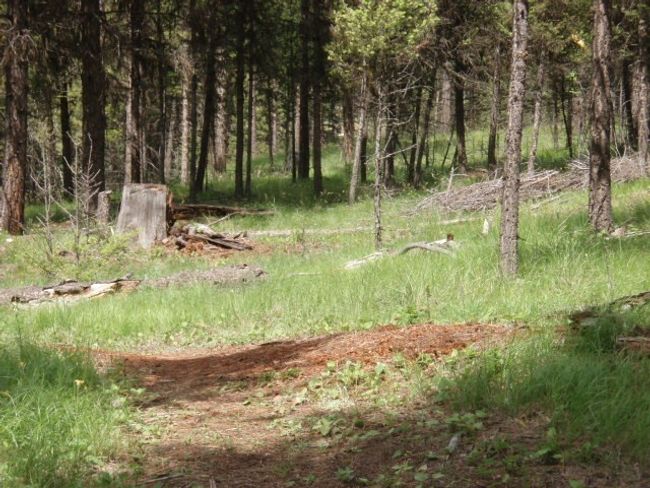 488 Emerald Lake Loop, Home with 0 bedrooms, 0 bathrooms and null parking in Seeley Lake MT | Image 42