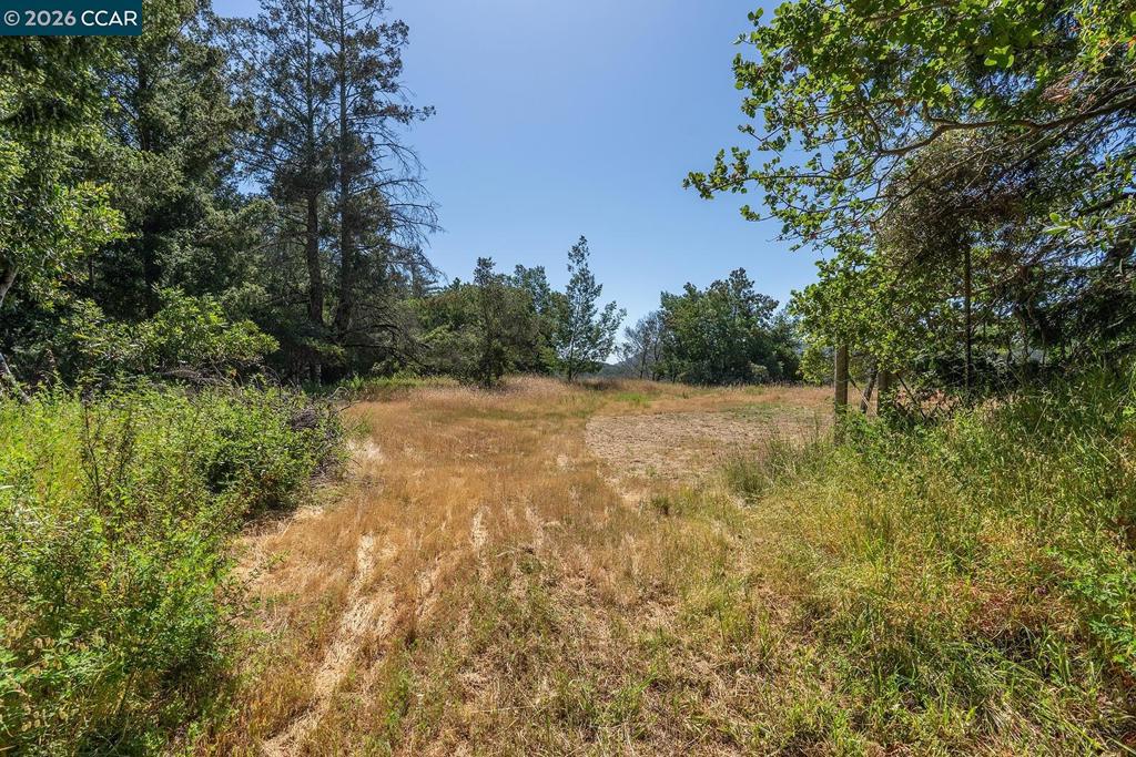 Land in Kentfield 4