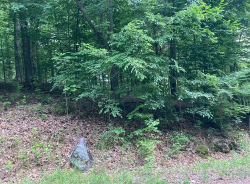 0 Briarwood Drive, Erin, TN, 37061 | Card Image