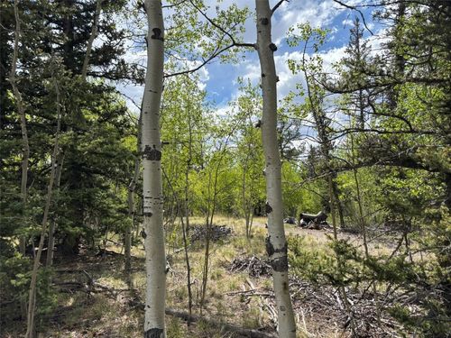 514 Chief Trl, Como, CO, 80456-9773 | Card Image