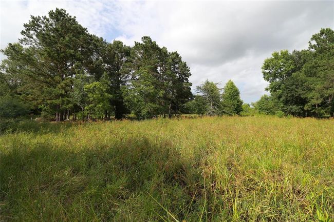 Open fields. | Image 7