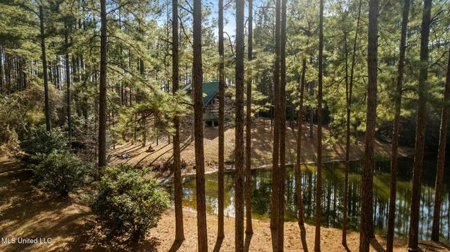 tempImage6DNMEQ | Image 56