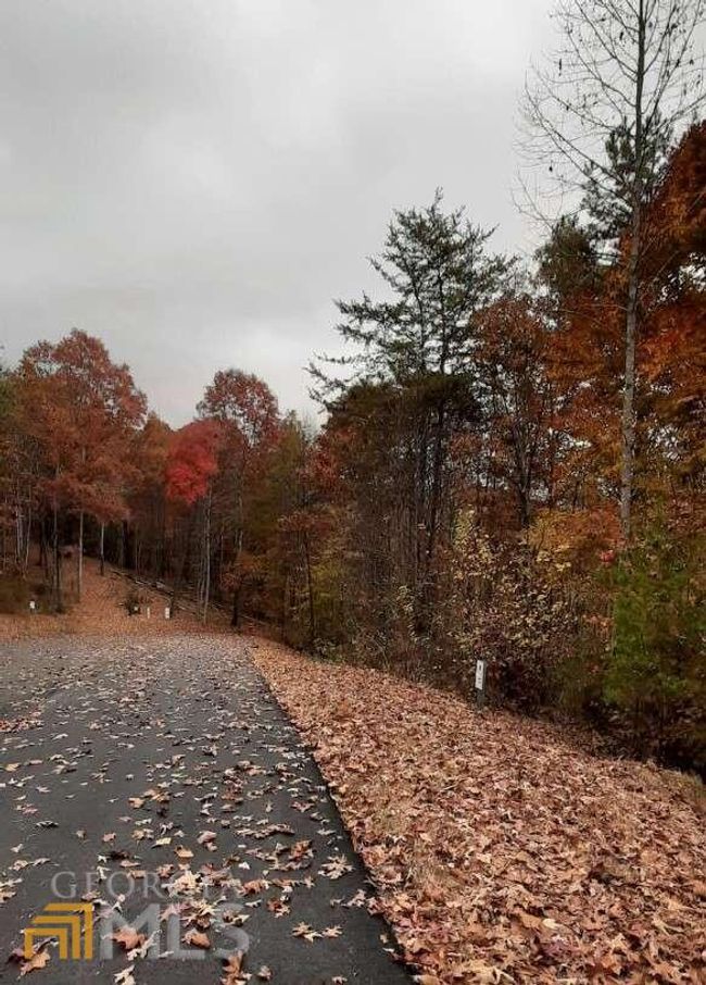 177 - 0 Owen Glenn Dr, Home with 0 bedrooms, 0 bathrooms and null parking in Blairsville GA | Image 7