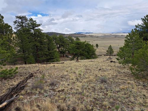 783 Remuda Trl, Hartsel, CO, 80449 | Card Image
