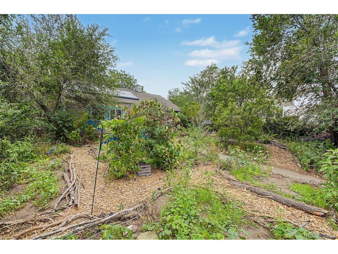 Residential in Denver 5