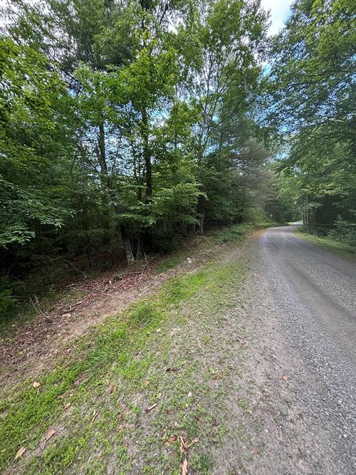 TBD Tbd Drypond Rd, Allisonia, VA, 24347 | Card Image