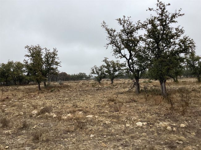 View of local wilderness with a rural view | Image 6