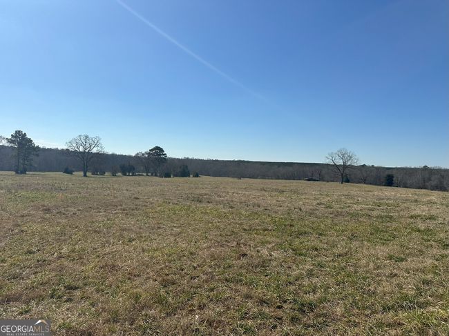 2018 Elberton Rd, Home with 0 bedrooms, 0 bathrooms and null parking in Carlton GA | Image 8