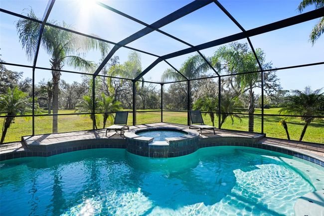 11518 Hammock Oaks Ct, House other with 4 bedrooms, 6 bathrooms and null parking in LITHIA FL | Image 45