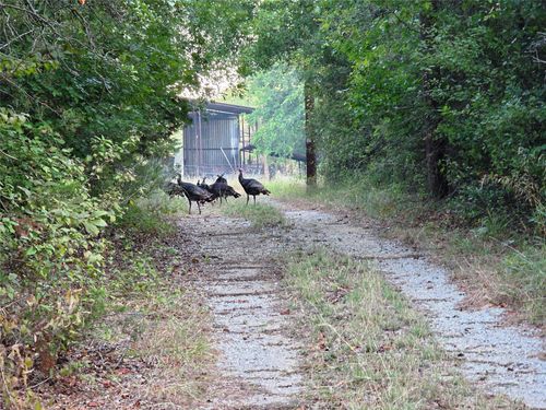 1811 Highway 570, Eastland, TX, 76448-5802 | Card Image