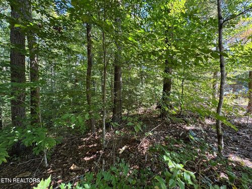 Lot 6 Saddle Brook Way, Sevierville, TN, 37862-8298 | Card Image