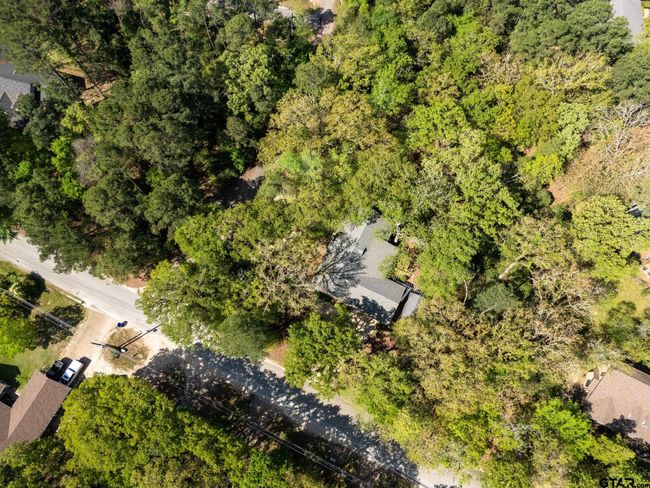 411 Raton Pass, House other with 3 bedrooms, 2 bathrooms and null parking in Holly Lake Ranch TX | Image 28