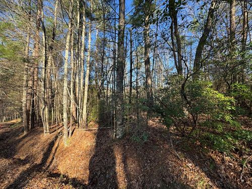 Lot J260 Pine Ridge Rd, Ellijay, GA, 30536 | Card Image