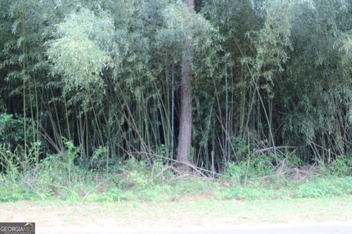 0 Liberty St, Lumpkin, GA, 31815 | Card Image