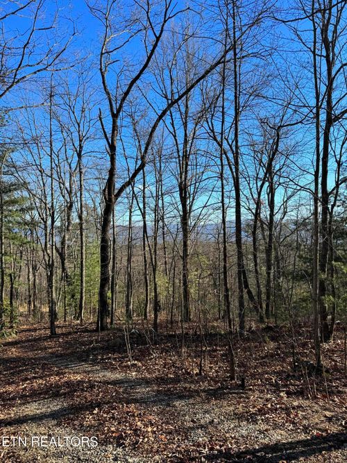 6838 Flats Rd, Tallassee, TN, 37878-2315 | Card Image