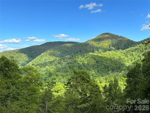 (West Lot) Meadow Fork Rd, Hot Springs, NC, 28743 | Card Image