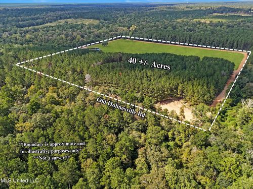 869 Old Holmesville Rd, Tylertown, MS, 39667-5814 | Card Image