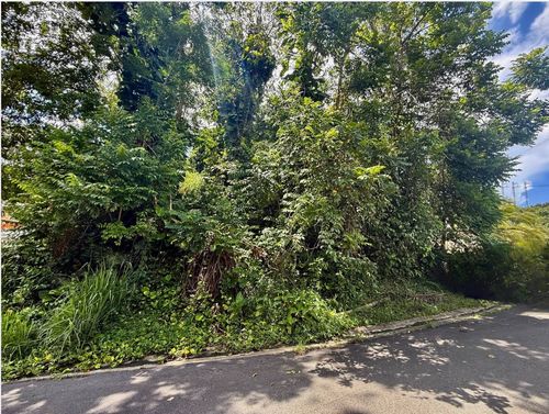 Solar 17 Bo. Caguitas, Aguas Buenas, PR, 00703 | Card Image