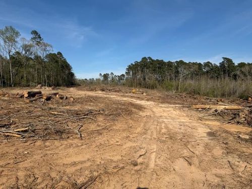 1955 County Road 201, Center, TX, 75935-2934 | Card Image