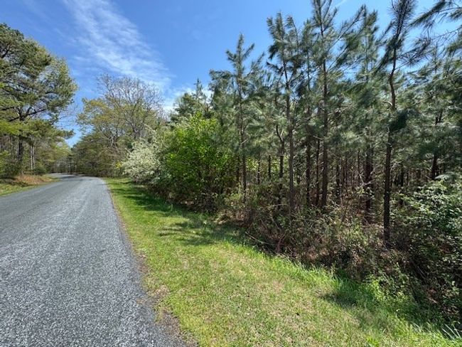7 - 7 Spencer Rd, Home with 0 bedrooms, 0 bathrooms and null parking in Concord VA | Image 7