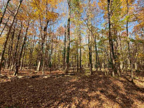 1414 Collins Mill Rd, Newport Ctr, VT, 05857 | Card Image