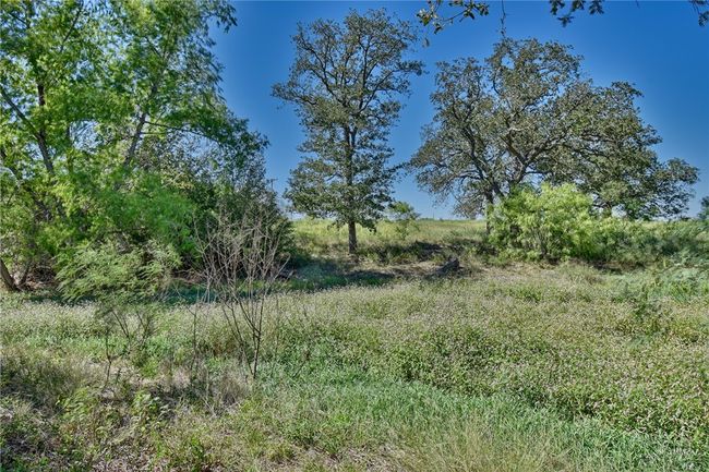 180 Sunny Day Drive, Home with 0 bedrooms, 0 bathrooms and null parking in Red Rock TX | Image 11