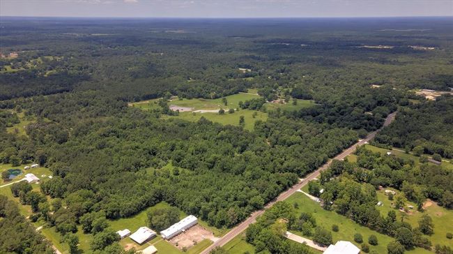 00 Fm 770 Rd, Home with 0 bedrooms, 0 bathrooms and null parking in Batson TX | Image 7