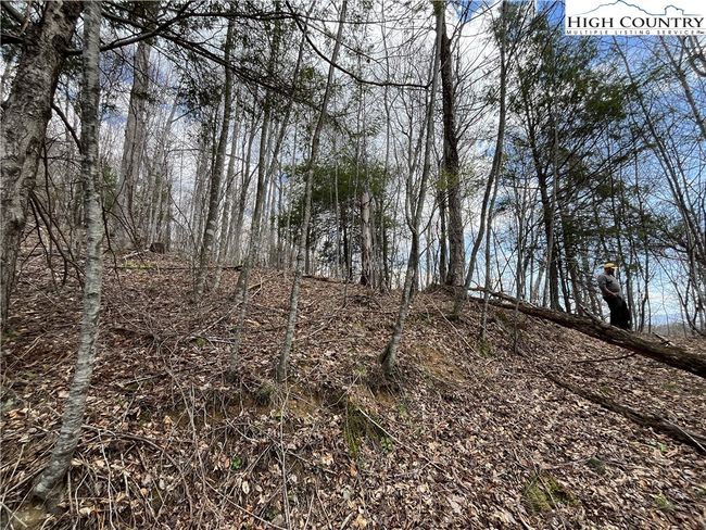 4 Sugar Hill Ln, Home with 0 bedrooms, 0 bathrooms and null parking in Sugar Grove NC | Image 7