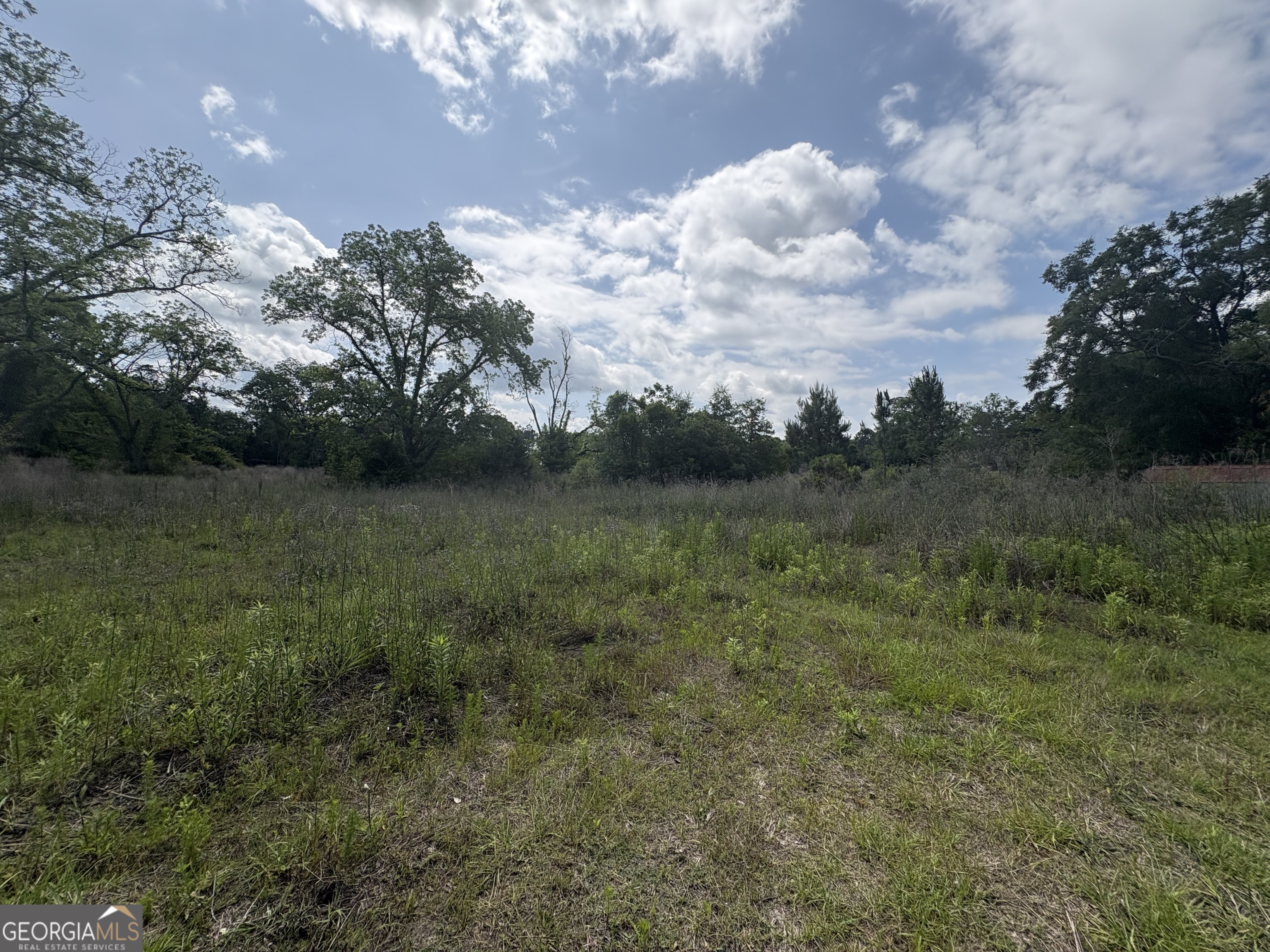 Land in Fitzgerald 2