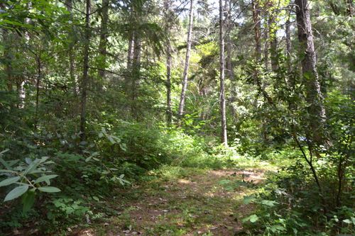 4657 Lower Grave Creek Rd, Wolf Creek, OR, 97497-8723 | Card Image