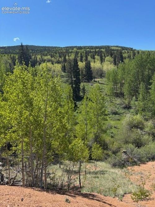 124 Yorktown Dr, Cripple Creek, CO, 80813-9517 | Card Image
