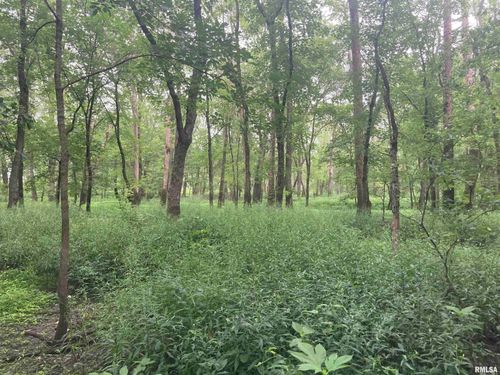 000 Herms Rd, Bartelso, IL, 62218 | Card Image