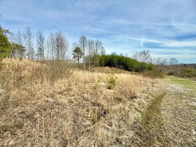 9999 Cam Court Dr, Home with 0 bedrooms, 0 bathrooms and null parking in Lily KY | Image 13