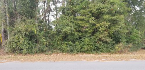 00000 N Lemacks St, Walterboro, SC, 29488 | Card Image