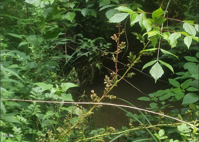 Screenshot 2024-11-04 at 9.32.41AM | Image 20