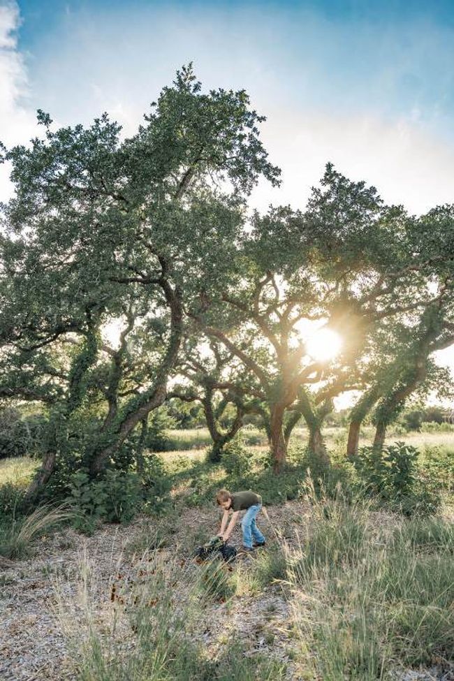 17650 Hamilton Pool Rd, Home with 0 bedrooms, 0 bathrooms and null parking in Austin TX | Image 4