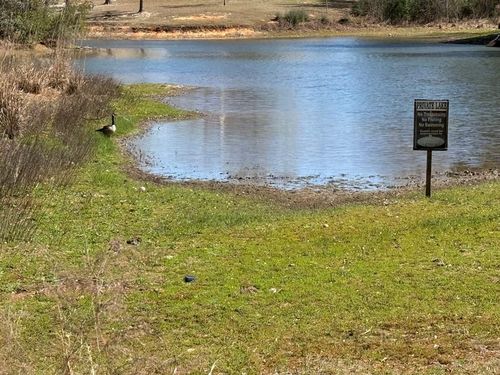 55 Bay Meadows Dr, Carriere, MS, 39426 | Card Image