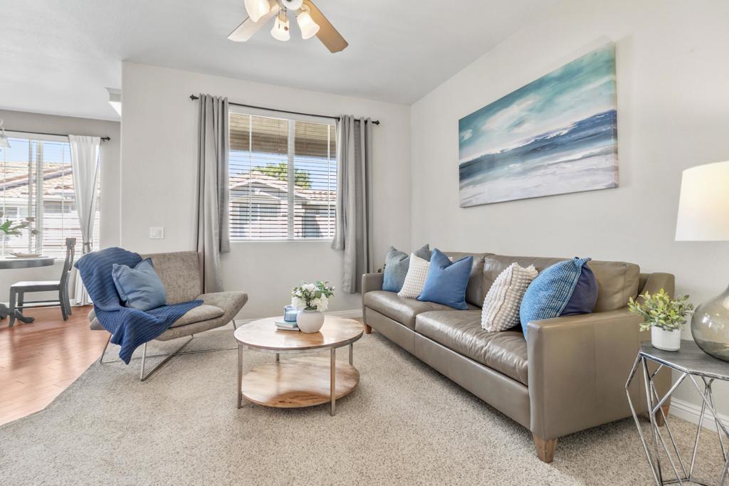 Residential in San Diego 3